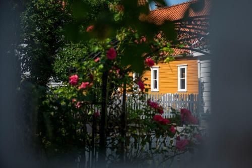 Outdoor Pictures 24