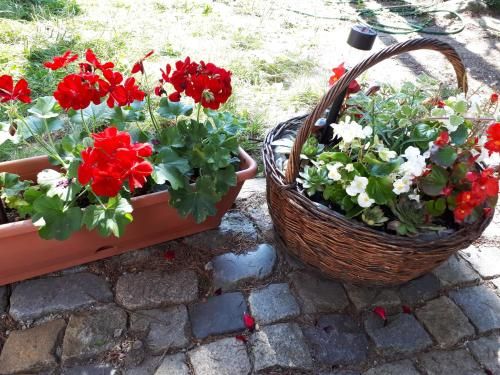Outdoor Pictures 20