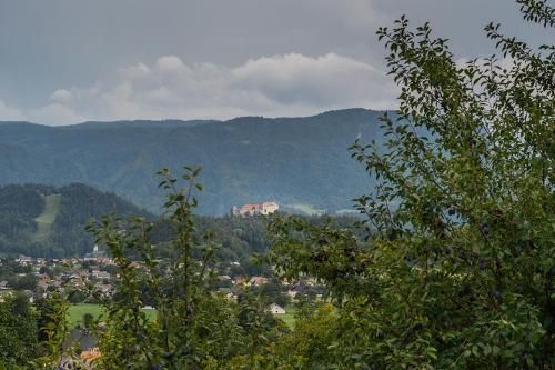 Outdoor Pictures 17