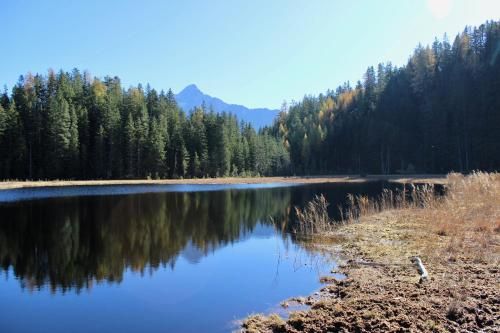 Outdoor Pictures 15