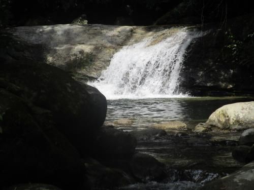 Outdoor Pictures 7