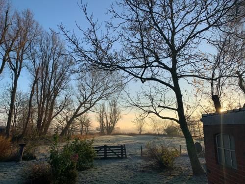 Outdoor Pictures 16