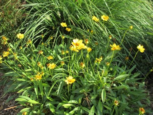 Outdoor Pictures 21