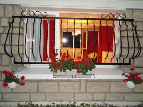 Outdoor Pictures 10