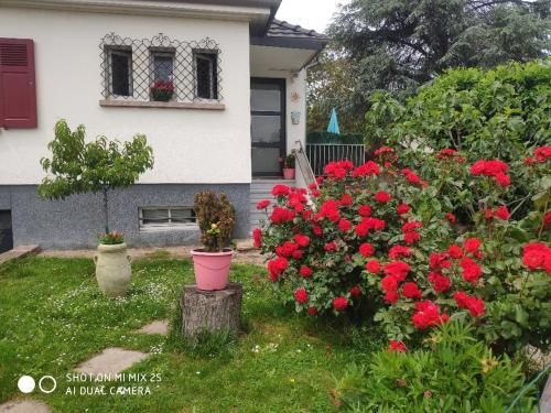 Outdoor Pictures 8