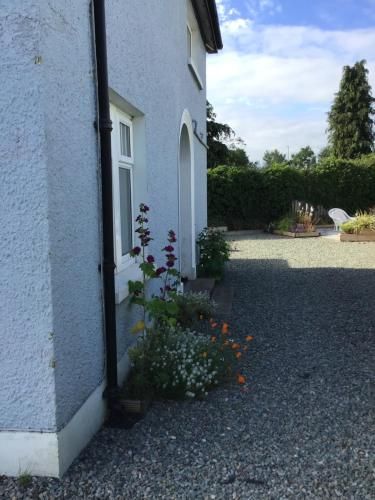 The blue cottage