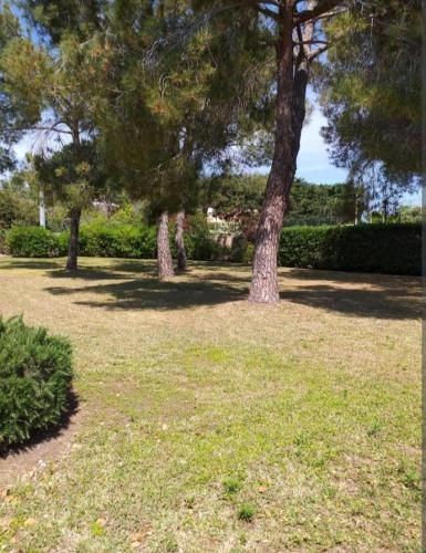 Outdoor Pictures 5