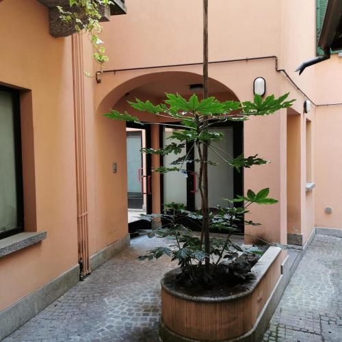 CENTROLAGO