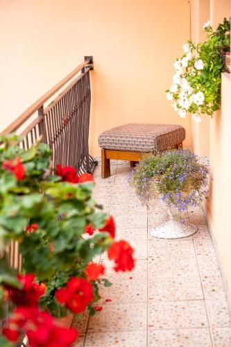 Outdoor Pictures 7