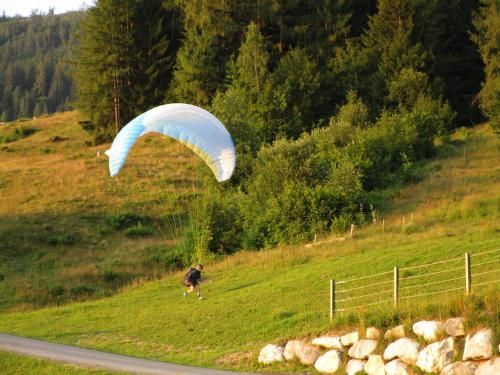 Outdoor Pictures 9
