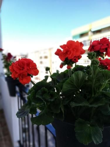 Outdoor Pictures 15