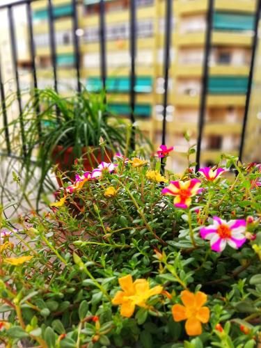 Outdoor Pictures 16