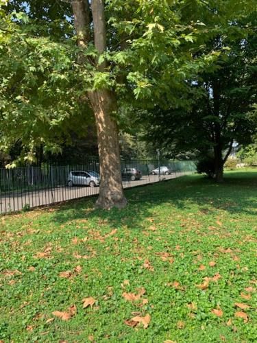 Outdoor Pictures 7