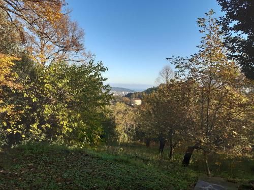 Outdoor Pictures 15