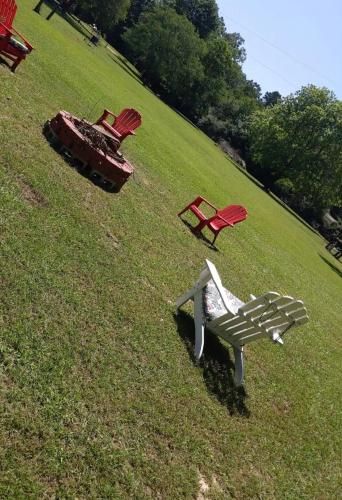 Outdoor Pictures 17