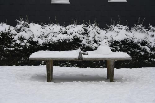 Outdoor Pictures 21