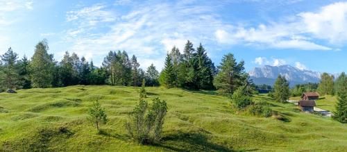 Outdoor Pictures 19