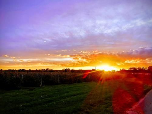 Outdoor Pictures 12