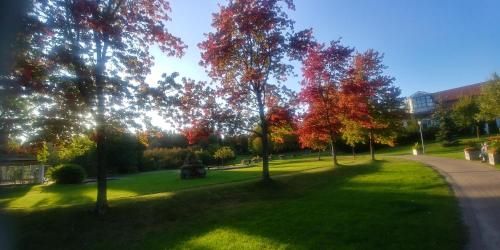 Outdoor Pictures 24