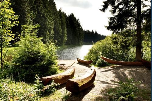Outdoor Pictures 20