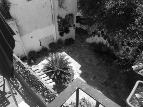 Outdoor Pictures 4