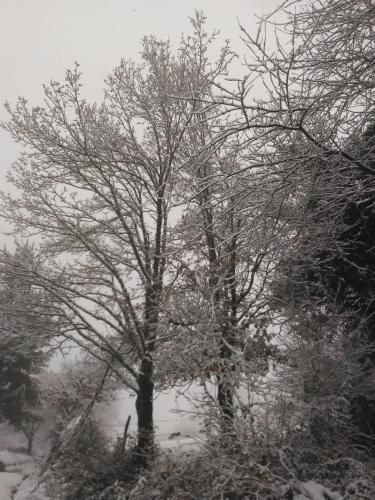 Outdoor Pictures 15