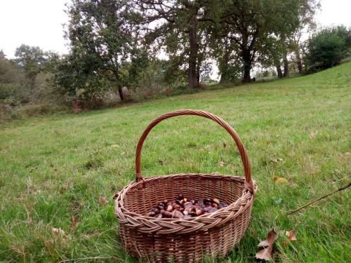 Outdoor Pictures 9