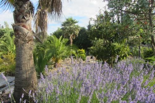 Outdoor Pictures 15