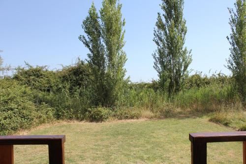 Outdoor Pictures 3