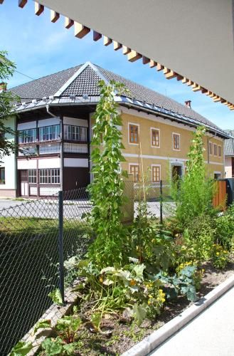 Outdoor Pictures 11