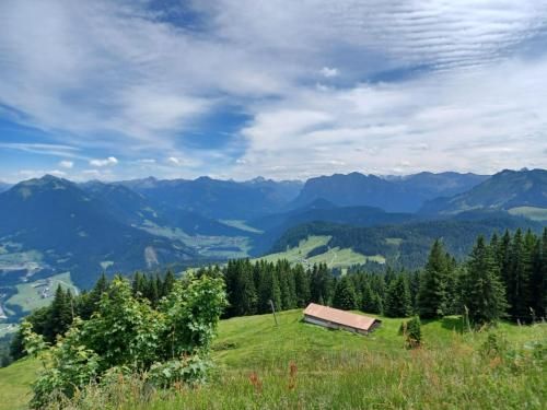 Outdoor Pictures 7