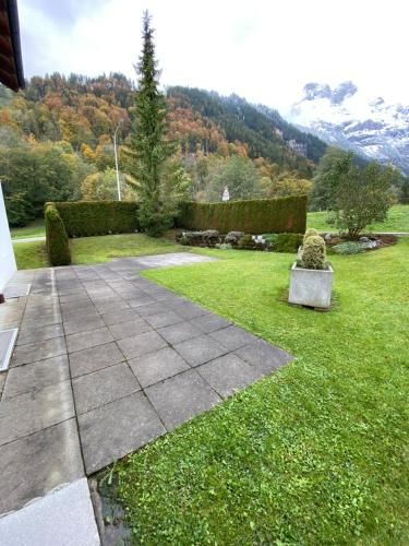 Outdoor Pictures 5