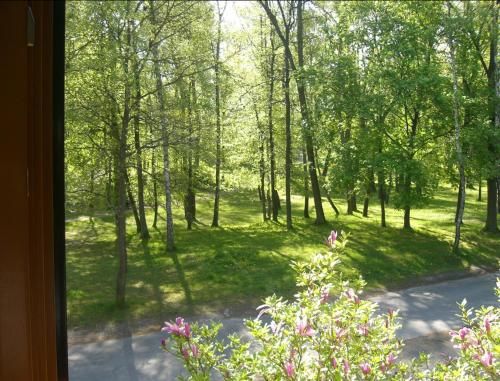 Outdoor Pictures 4