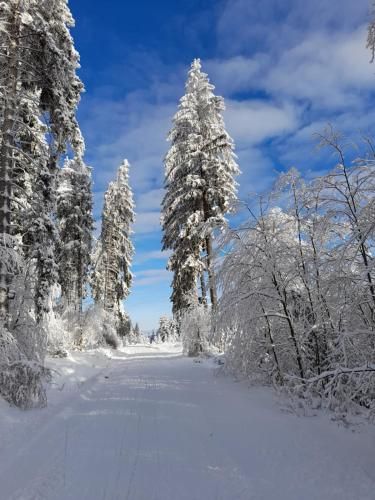 Dorfidylle - Thüringer Wald Rennsteig