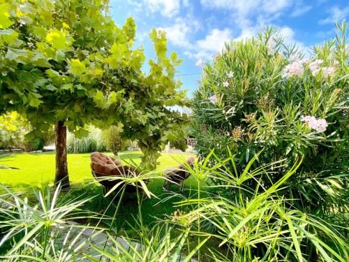 Outdoor Pictures 10