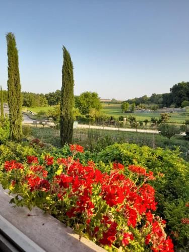 Outdoor Pictures 20