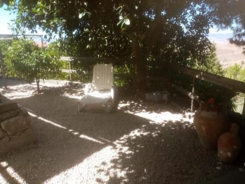 Outdoor Pictures 15