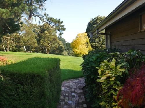 Outdoor Pictures 6
