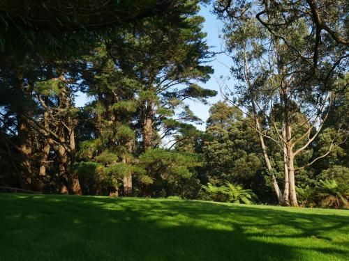 Outdoor Pictures 11