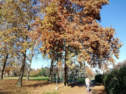 Outdoor Pictures 3