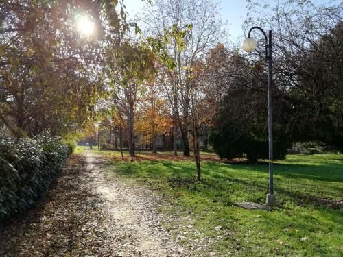 Outdoor Pictures 4