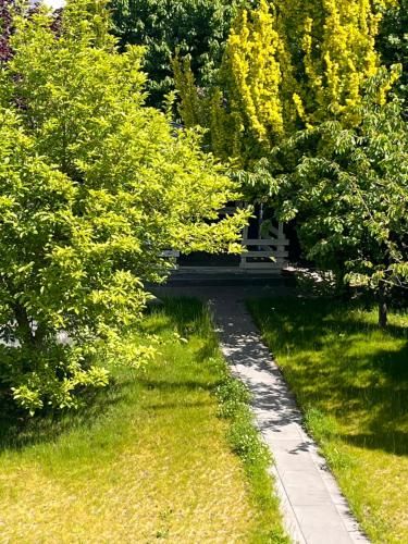 Outdoor Pictures 7