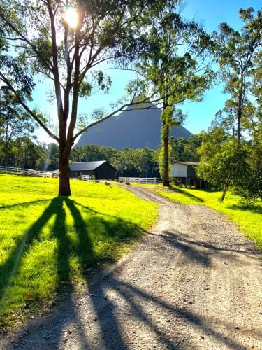 Outdoor Pictures 14