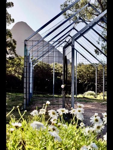 Outdoor Pictures 15