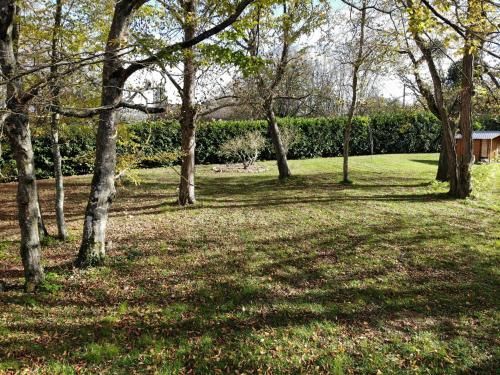 Outdoor Pictures 11