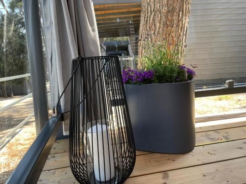 Outdoor Pictures 6
