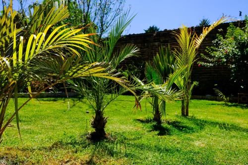 Outdoor Pictures 23