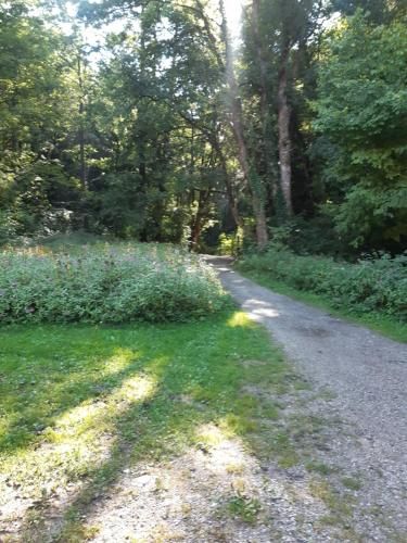 Outdoor Pictures 7