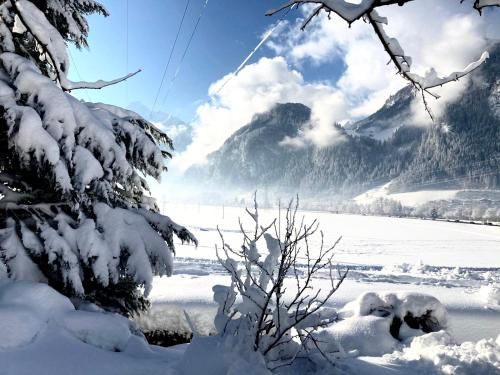 Outdoor Pictures 11
