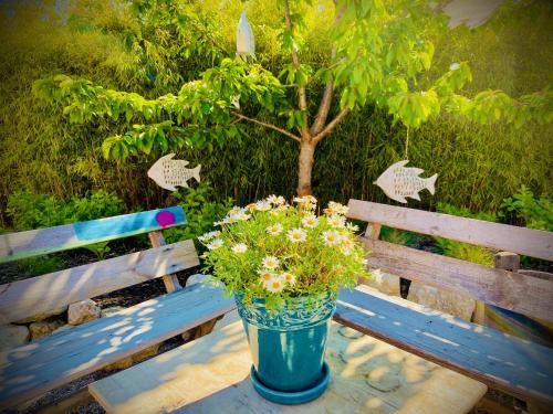 Outdoor Pictures 5